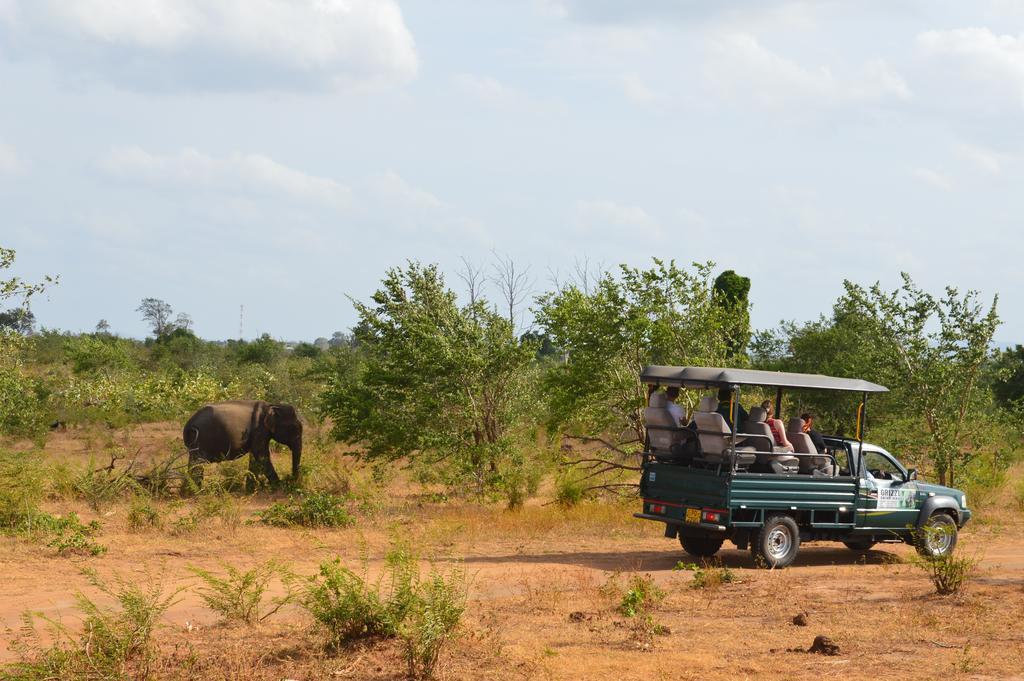 Wild Panthera Yala Tissamaharama Buitenkant foto